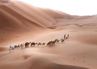 عدسة أحمد بدوان المسكونة بروح جمال الإمارات تروي قصص المكان وتفاصيله